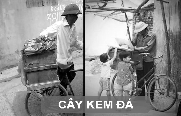 cây kem đá